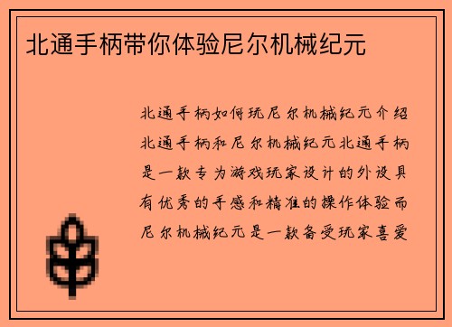 北通手柄带你体验尼尔机械纪元